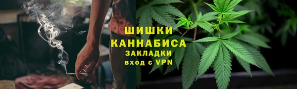 шишки Богданович